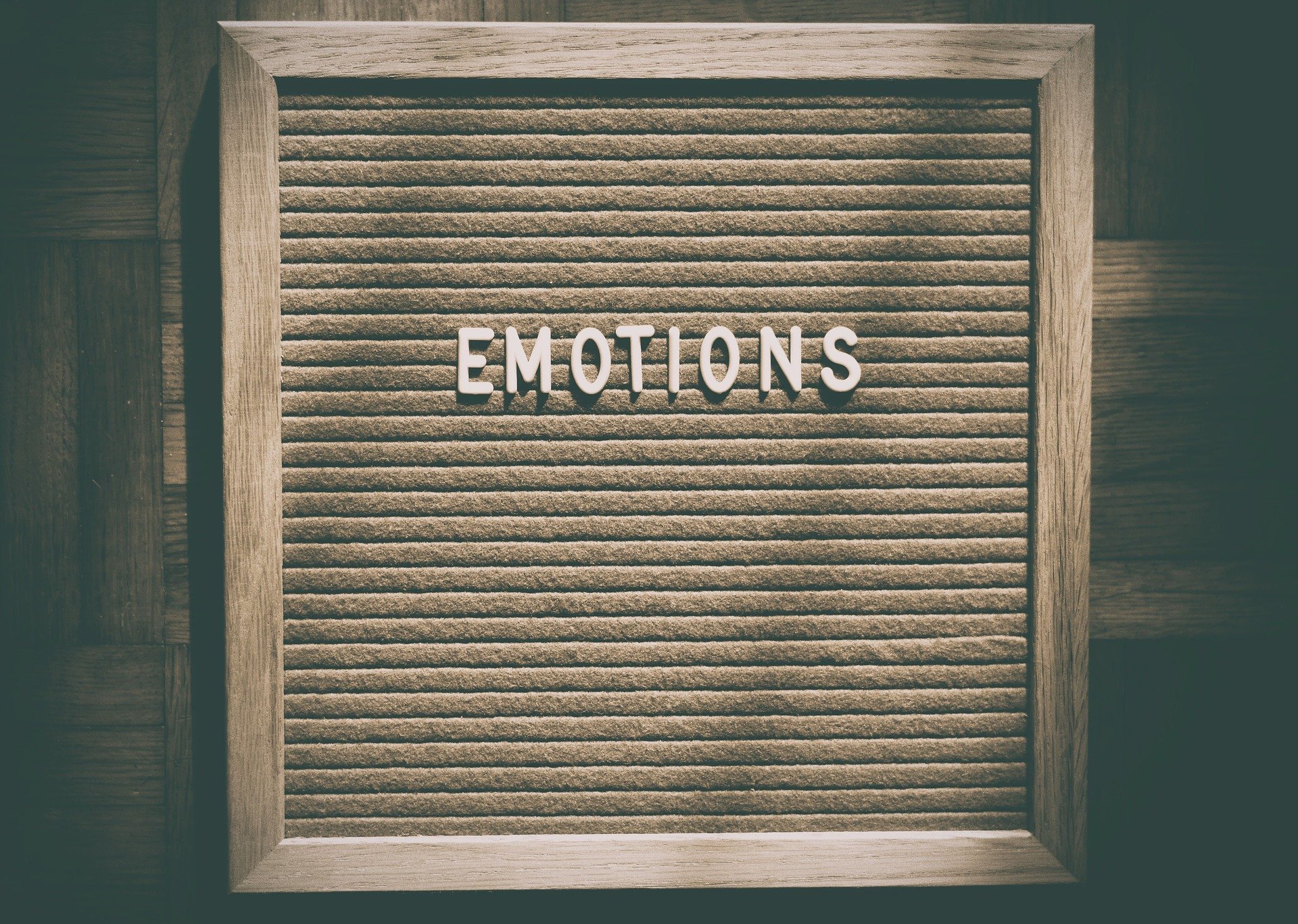 emotions, feelings, tracker, goals, dreams,happy,frustrated,wheel of emotions